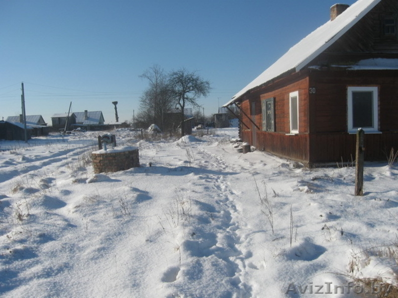 Дом в биосферном заповеднике направление Домачево,д.Черск - Изображение #2, Объявление #1028117