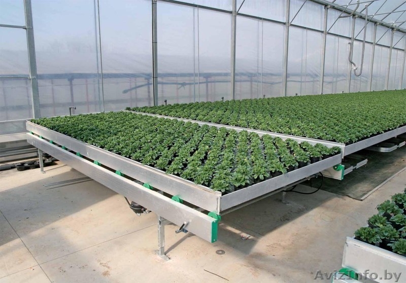 Культивационные столы для выращивания рассады. - Изображение #2, Объявление #1053929