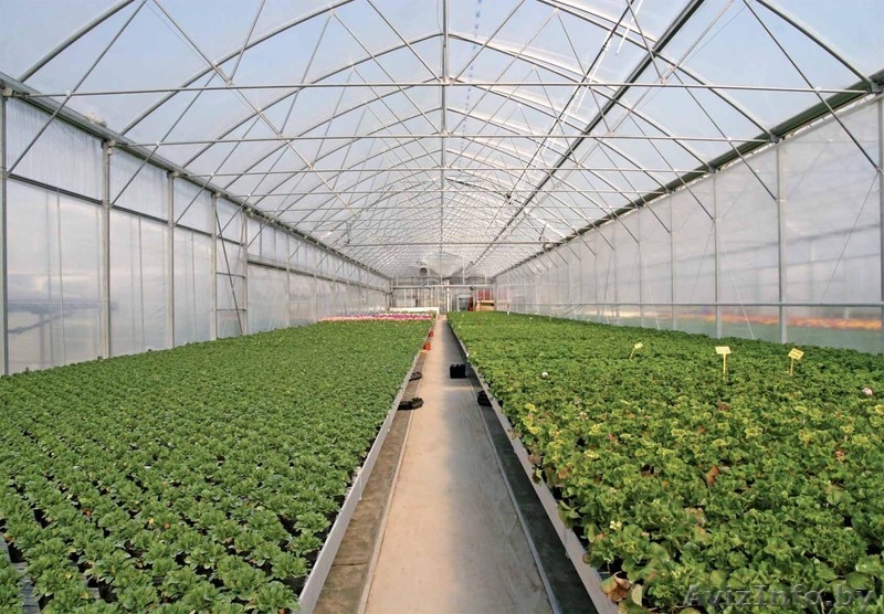 Культивационные столы для выращивания рассады. - Изображение #3, Объявление #1053929