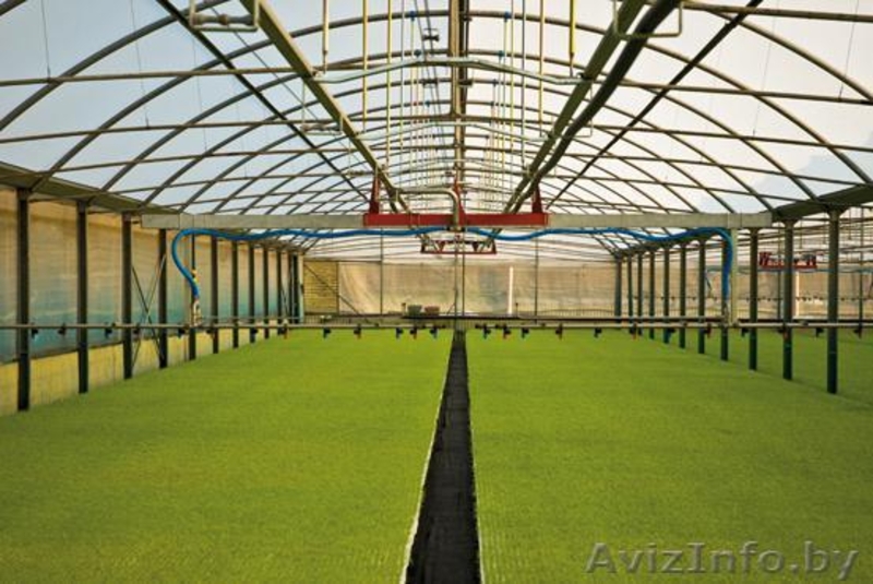 Система орошения  - Изображение #2, Объявление #1053854