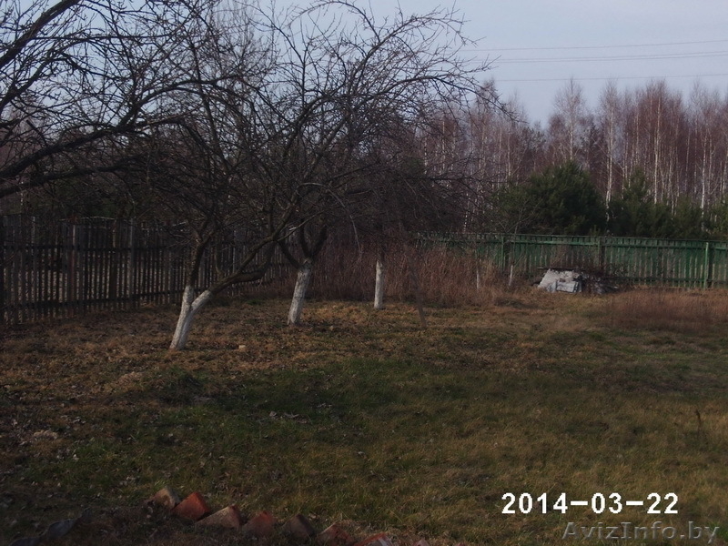 Дачный участок с кирпичным домиком за Красным двором - Изображение #6, Объявление #1067705