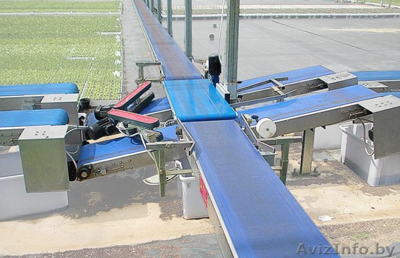 Ленточные конвейеры и транспортировщики для сельского хозяйства - Изображение #1, Объявление #1083502