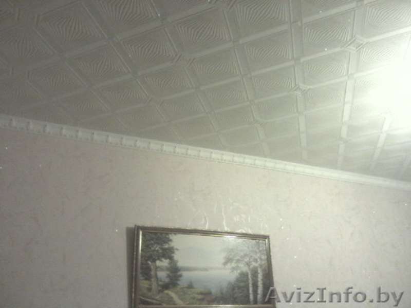 Квартира в зелёном уголке недалеко от центра города! Отличная инфраструктура - Изображение #5, Объявление #1119197