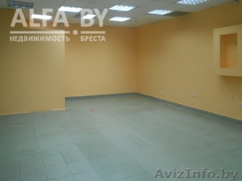 Адм-торговое помещение в аренду, Брест, 74,2 кв.м. - Изображение #1, Объявление #1196484