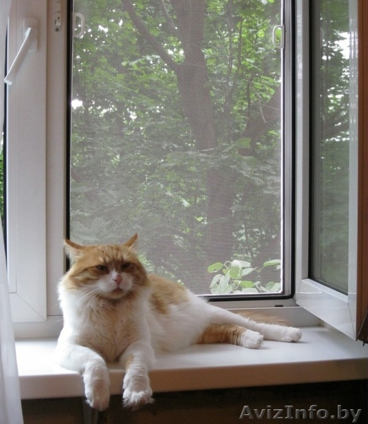 Жалюзи, москитные сетки, защитные роллеты - Изображение #5, Объявление #1040477