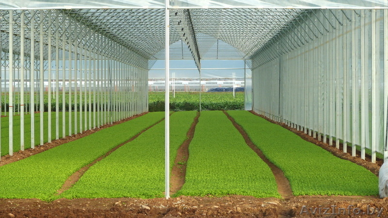 Системы туманообразования - Изображение #4, Объявление #1221135