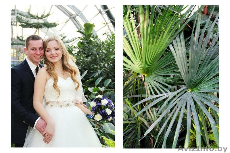 фото видео ведущая - Изображение #1, Объявление #1236484