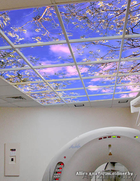 Натяжные потолки. - Изображение #2, Объявление #1229338