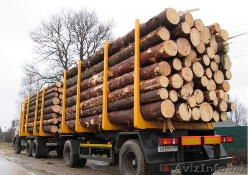 услуги лесовоз с манипулятором  - Изображение #2, Объявление #1258078
