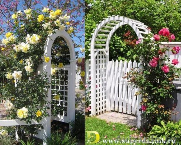 перголы и различные изделия из дерева для сада - Изображение #6, Объявление #1258097