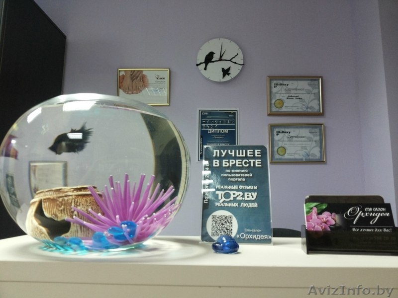 спа-салон в центре Бреста - Изображение #2, Объявление #1350486