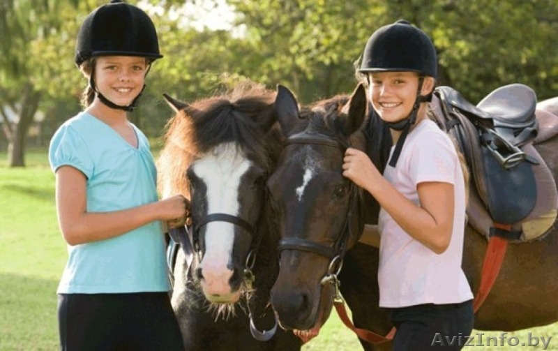 Подарочный сертификат "Верховая езда для пары" - Изображение #2, Объявление #1363004