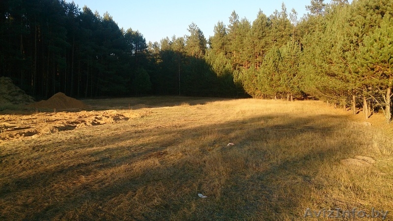 Участок В Беловежской Пуще - Изображение #3, Объявление #1395819