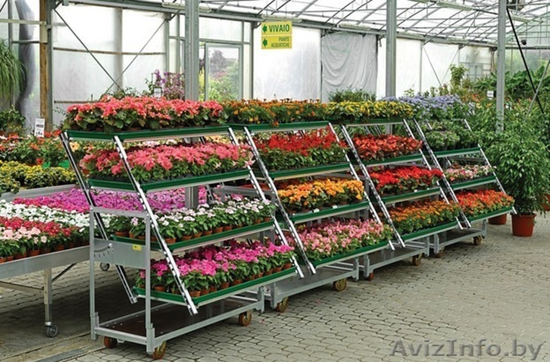 все для садового центра - Изображение #2, Объявление #1445292