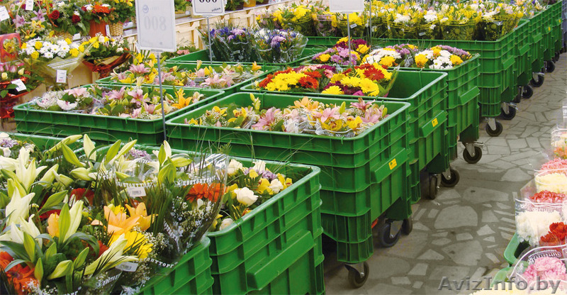 все для садового центра - Изображение #3, Объявление #1445292