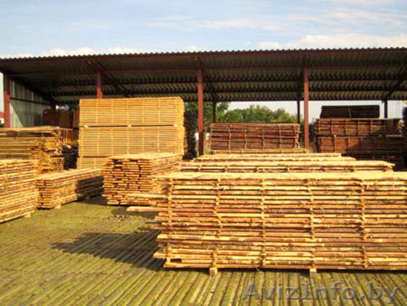 лес, дом, крыша, стропила, балки - Изображение #4, Объявление #451077