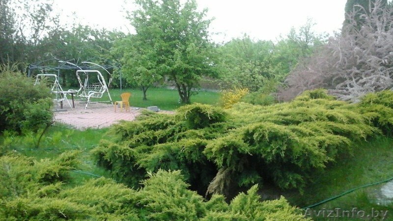 Коттедж рядом с Брестом, на границе с Польшей!!!  - Изображение #8, Объявление #1482340