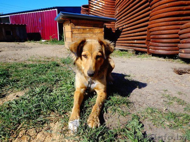 Вы не будете одиноки - Изображение #2, Объявление #1497601