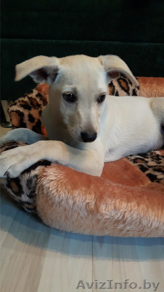 Вы не будете одиноки - Изображение #3, Объявление #1497601