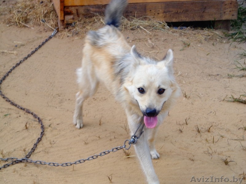 Вы не будете одиноки - Изображение #4, Объявление #1497601