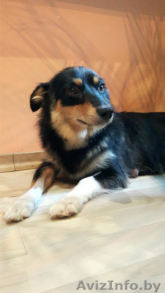 Вы не будете одиноки - Изображение #5, Объявление #1497601