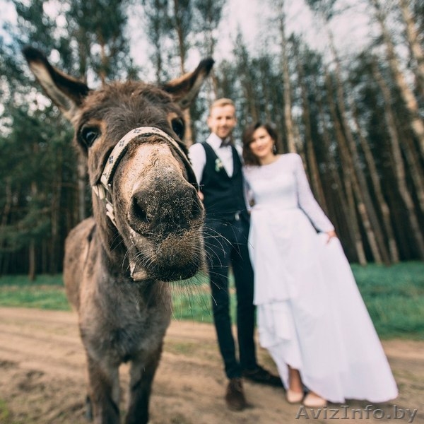 Конно-спортивный клуб "Успех" (верховая езда, обучение,выезд в поля, фотосесии - Изображение #2, Объявление #1494691