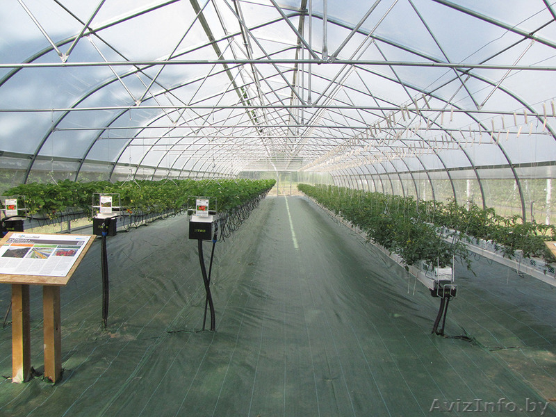 Пленка для теплиц PATILUX - Изображение #4, Объявление #1529053