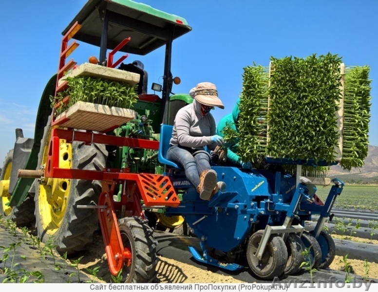 Рассадопосадочные машины Ferrari - Изображение #3, Объявление #1566184