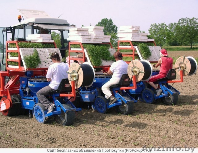 Рассадопосадочные машины Ferrari - Изображение #1, Объявление #1566184