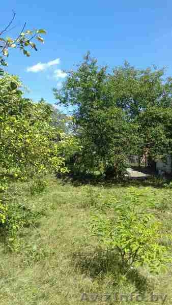 Продам дачу с садовым домиком или обменяю на седельный тягач - Изображение #8, Объявление #1575896