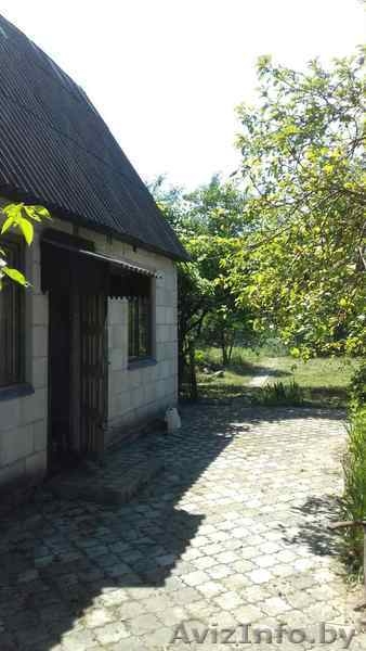 Продам дачу с садовым домиком или обменяю на седельный тягач - Изображение #3, Объявление #1575896