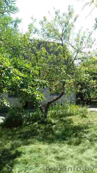 Продам дачу с садовым домиком или обменяю на седельный тягач - Изображение #7, Объявление #1575896