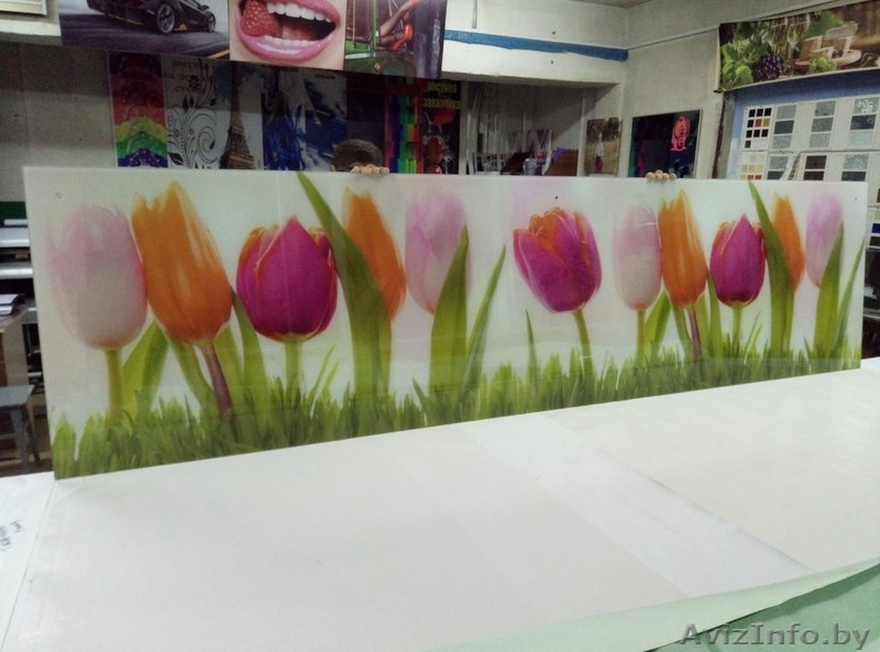 Скинали для кухни - Изображение #2, Объявление #1584918