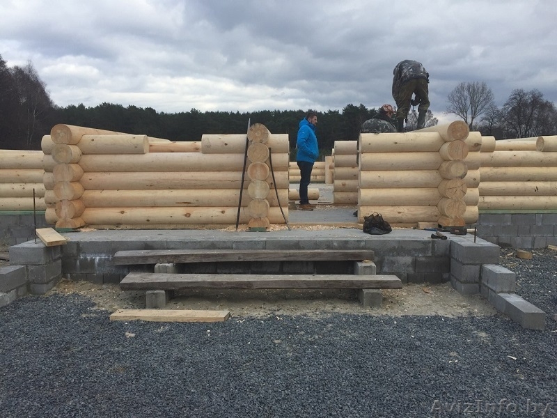 Изготовление домов и бань из оцилиндрованного бревна. - Изображение #2, Объявление #1589392