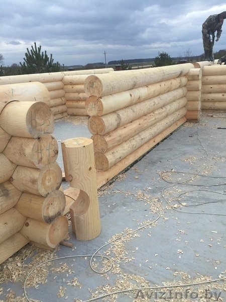 Изготовление домов и бань из оцилиндрованного бревна. - Изображение #1, Объявление #1589392
