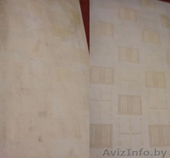 Химчистка ковров, ковровых покрытий (на дому/вывоз) в Бресте. - Изображение #1, Объявление #1596211