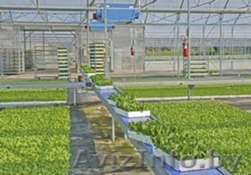 Транспортер для лотков (кассет) NTI, NTA, NTV URBINATI - Изображение #3, Объявление #1633886