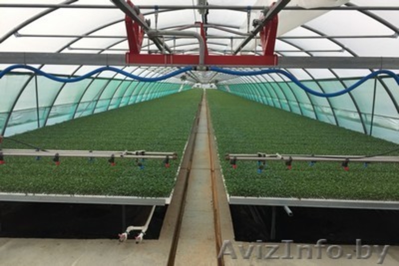 Модульная система орошения IRMO 3, IRMO 11 URBINATI - Изображение #4, Объявление #1633882