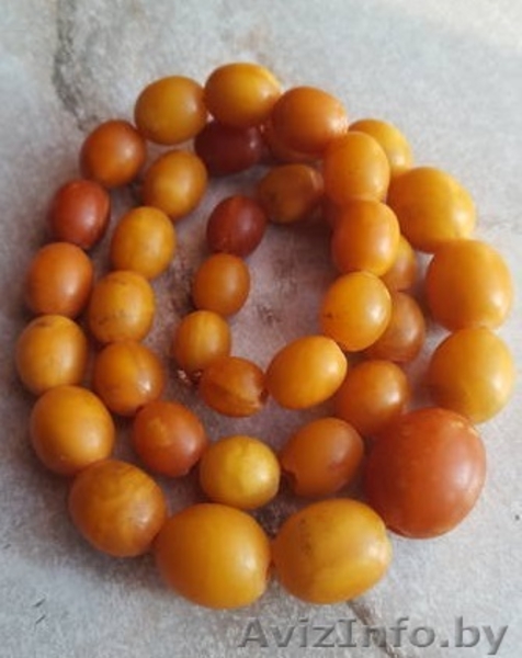 Куплю янтарные бусы, янтарь, куски. Дорого - Изображение #4, Объявление #1641704