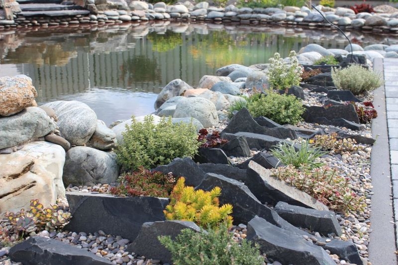 озеленение и благоустройство - Изображение #3, Объявление #1662989