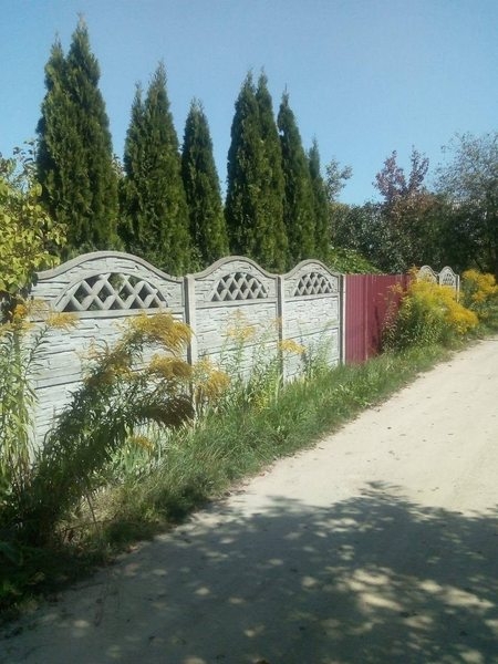 Продается дача! Гибкая цена! Срочно! - Изображение #1, Объявление #1668541