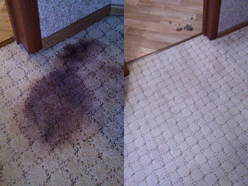 Химчистка ковров с длинным и коротким ворсом - Изображение #4, Объявление #1671696