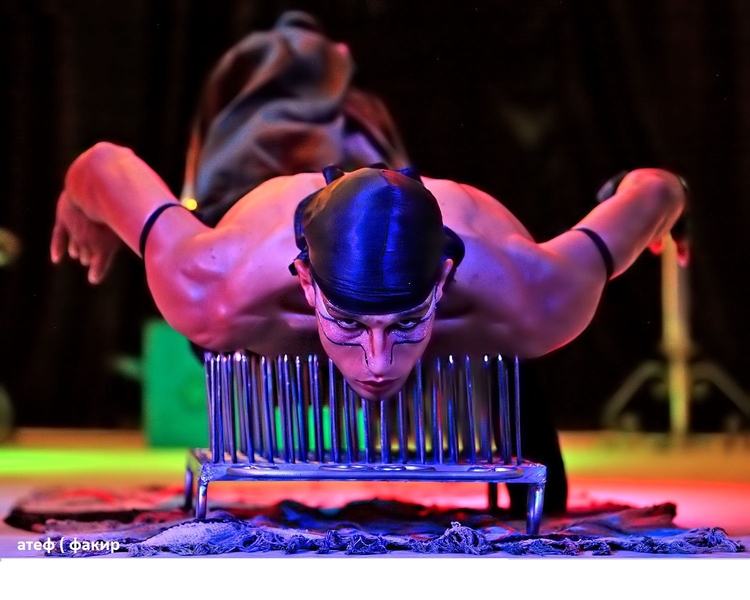 Студия развлекательных программ Хочу Шоу. Взрослым и детям Бреста. - Изображение #8, Объявление #1690077