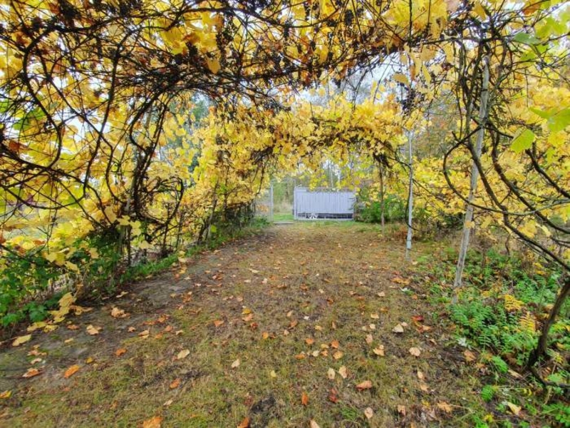 Продам ДОМ с пропиской и ОГРОМНЫМ участком! - Изображение #7, Объявление #1699212