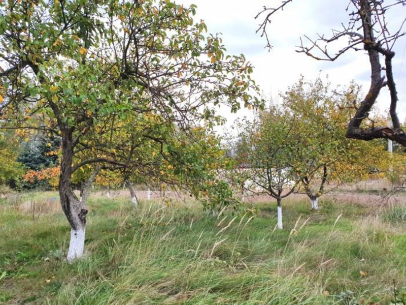 Продам ДОМ с пропиской и ОГРОМНЫМ участком! - Изображение #9, Объявление #1699212