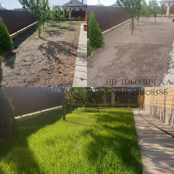 Посадка газона / Благоустройство территорий - Изображение #2, Объявление #1707605